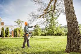 Best Tree Risk Assessment  in Shrub Oak, NY